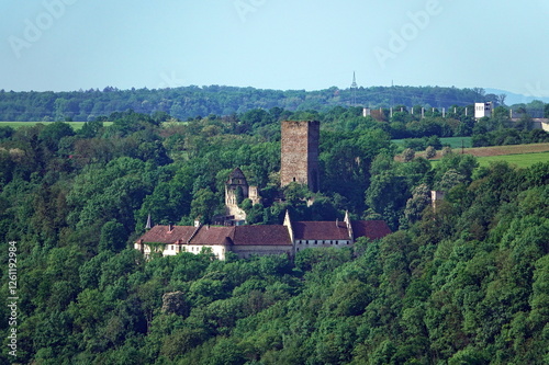 Burg Guttenberg am Neckar photo