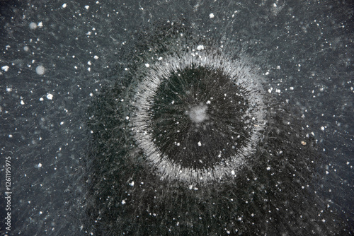 Frozen surface of a reservoir in winter. Ice. photo