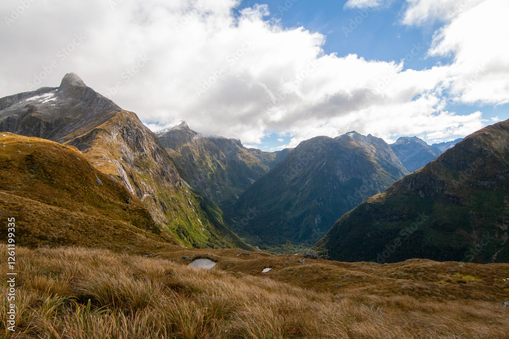 Obraz premium Mt Hard and Aiguille Rouge, Mount Pillans above Arthur Valley, Milford Track New Zealand