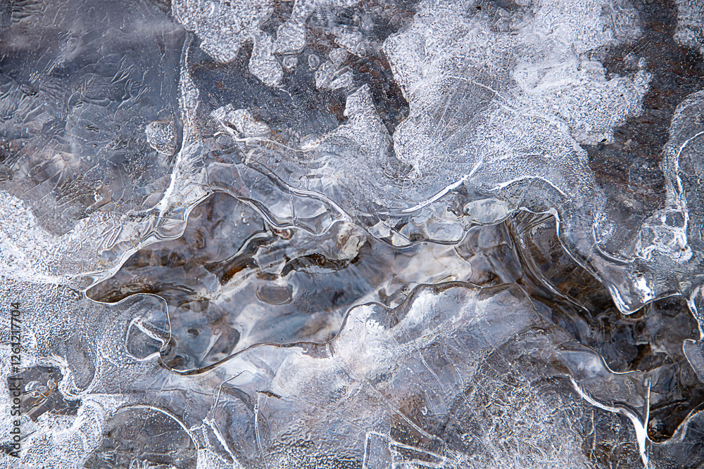 Textures and shapes created by nature in the winter Textures and shapes created by nature in the winter