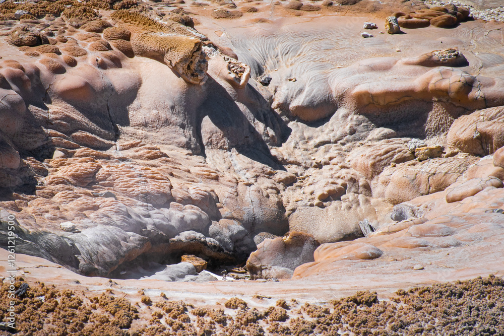 Silica and thermophile formation at a hot spring Silica and thermophile formation at a hot spring