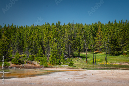 Verdent forest edges up to a thermal basin photo