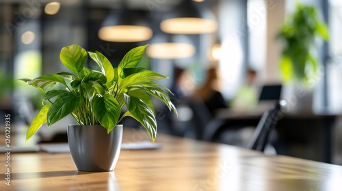 Close-Up of a Lush Green Potted Plant in a Modern Office Workspace with Soft Lighting and Organized Environment photo