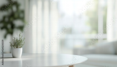 A potted plant sits on a table in a room with a window