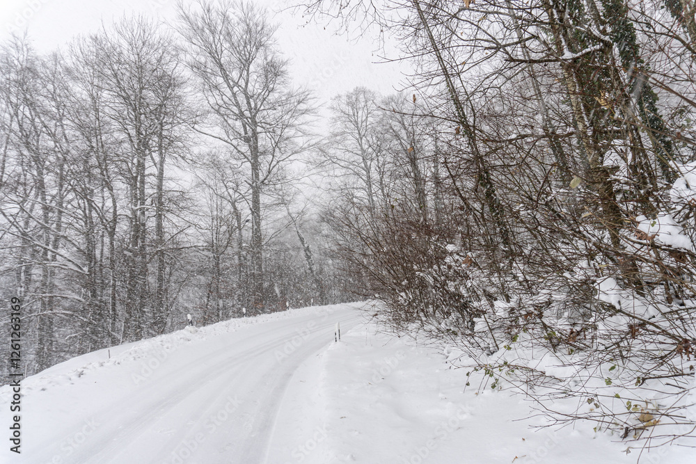 Fototapeta premium Wintertag