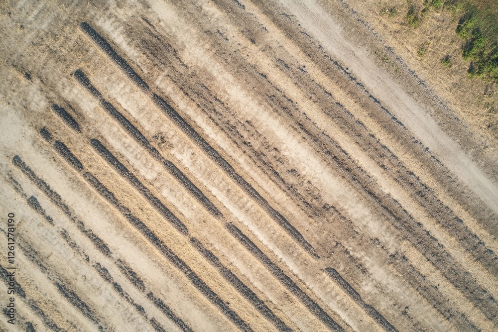 Aerial view of farmland with perfectly straight rows Aerial view of farmland with perfectly straight rows