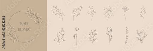 Floral branch. Botanical vector illustration. Hand drawn wedding herb, homeplant with elegant leaves for invitation save the date card design.