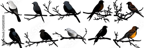 Silhouettes of birds perched on a branch icons set