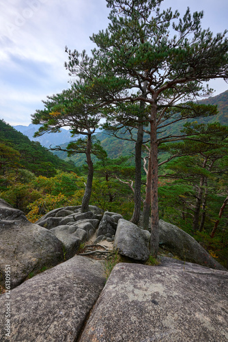 A view of the valley below from low on the Ulsanbawi Rock trail in Seoraksan National Park outside Sokcho in South Korea on October 16, 2024.