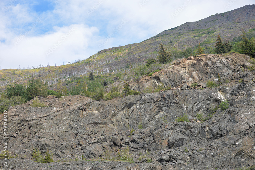 Anchorage, AK, USA – August 13, 2024: Mountain view from Beluga Point Anchorage, AK, USA – August 13, 2024: Mountain view from Beluga Point