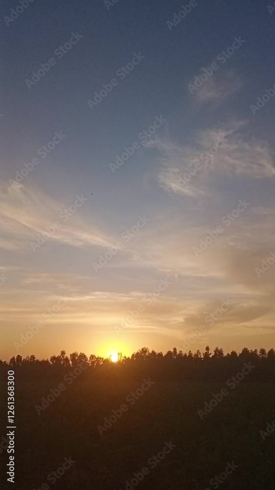 Majestic Sunset Over a Forest with Vibrant Sky and Wispy Clouds Majestic Sunset Over a Forest with Vibrant Sky and Wispy Clouds