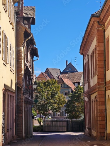 Fototapeta Naklejka Na Ścianę i Meble -  narrow street in colmar, france