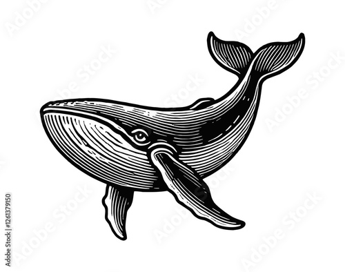 whale engraving black and white outline