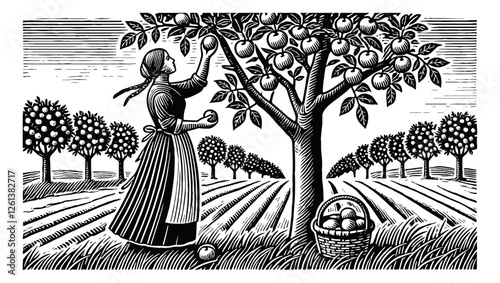 single apple tree in a rural setting with a woman harvest engraving black and white outline
