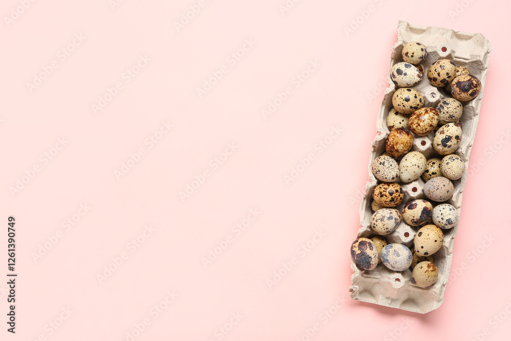 Obraz premium Cardboard holder with fresh quail eggs on pink background