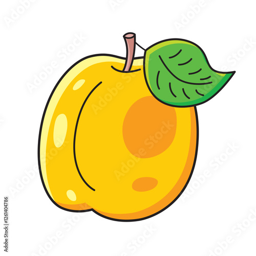Apricot fruit isolated vector illustration