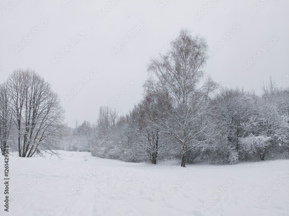 Winter Landscape of South Park in city of Sofia, Bulgaria
