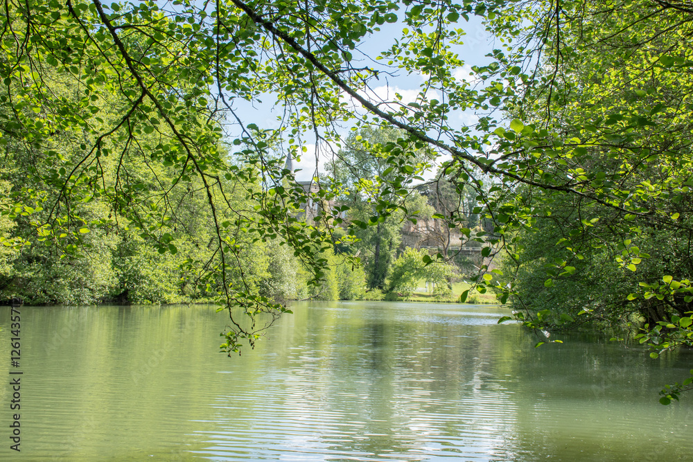 Forest landscape with water reflection on a lake in the French countryside of Bordeaux. Forest landscape with water reflection on a lake in the French countryside of Bordeaux.