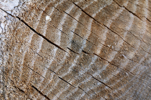 wood texture background