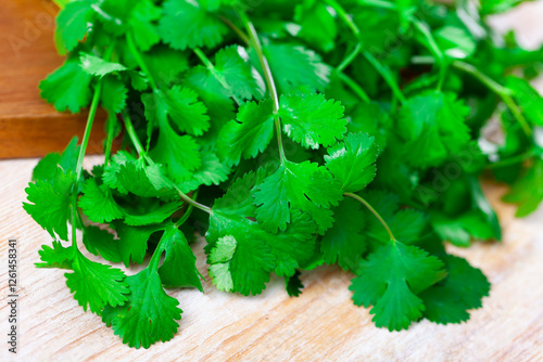 Fresh fragrant bunch of cilantro on a wooden surface, cooked for cooking. Close-up image