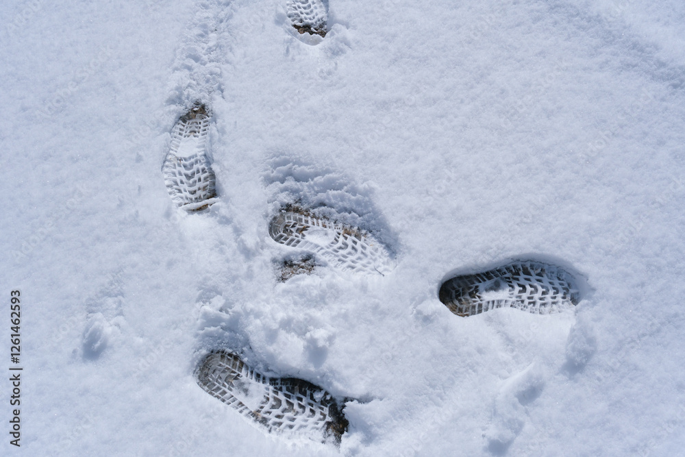 雪の日の足跡 雪の日の足跡