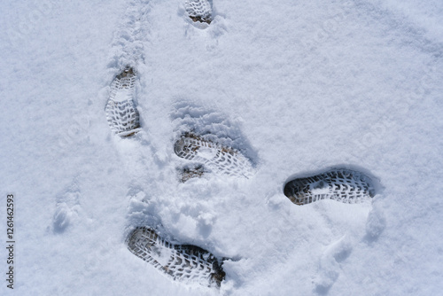 雪の日の足跡