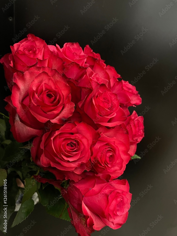 Naklejka premium bouquet of red roses