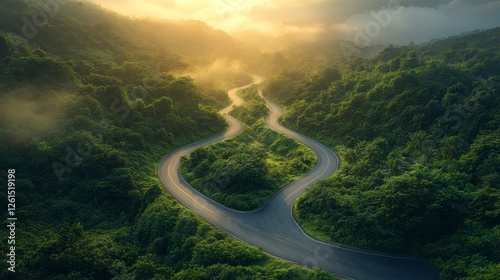 Winding Roads Through Verdant Jungles: A Fork in the Path Bathed in Golden Sunlight, A Bird's-Eye View of Choice, Adventure, and the Serene Beauty of Nature