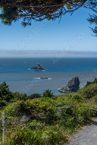 Port Orford Heads in Southern Oregon. 