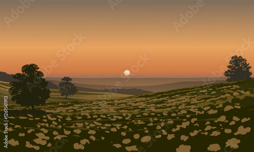 sunset in the field
