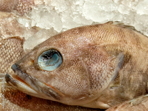 Closeup Of Fresh Fish Head On Ice photo