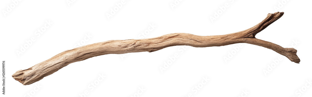 Natural driftwood branch isolated on a white background, rustic decor and nature concept Natural driftwood branch isolated on a white background, rustic decor and nature concept