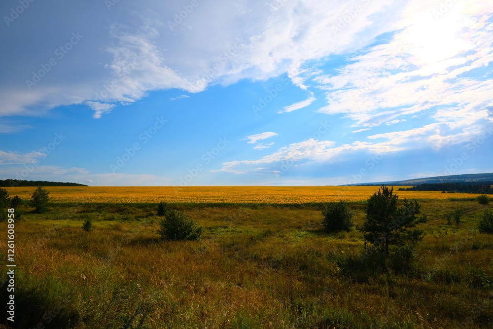 A country road with sprouted grass, stretching towards the horizon with a blue sky. High quality photo A country road with sprouted grass, stretching towards the horizon with a blue sky. High quality photo