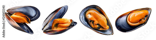 Mussel collection isolated on transparent background