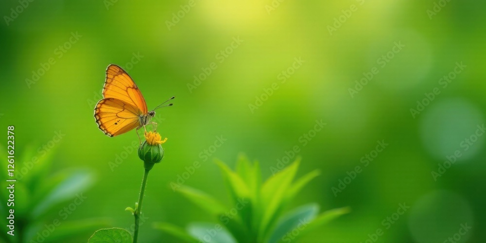 A Vibrant Orange Butterfly Perched Delicately on a Bright Yellow Flower, Set Against a Lush Green Background of Soft-Focus Foliage, Evoking a Sense of Tranquility and Natural Beauty.