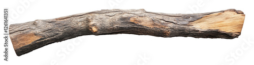 Wooden log with bark texture isolated on transparent background, natural element concept