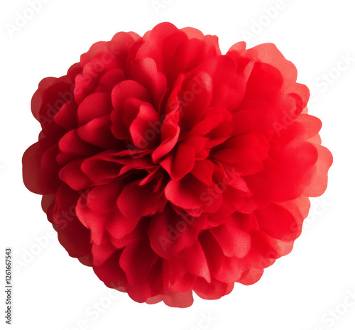 Wallpaper Mural Red pom pom flower in full bloom, vibrant botanical design concept Torontodigital.ca