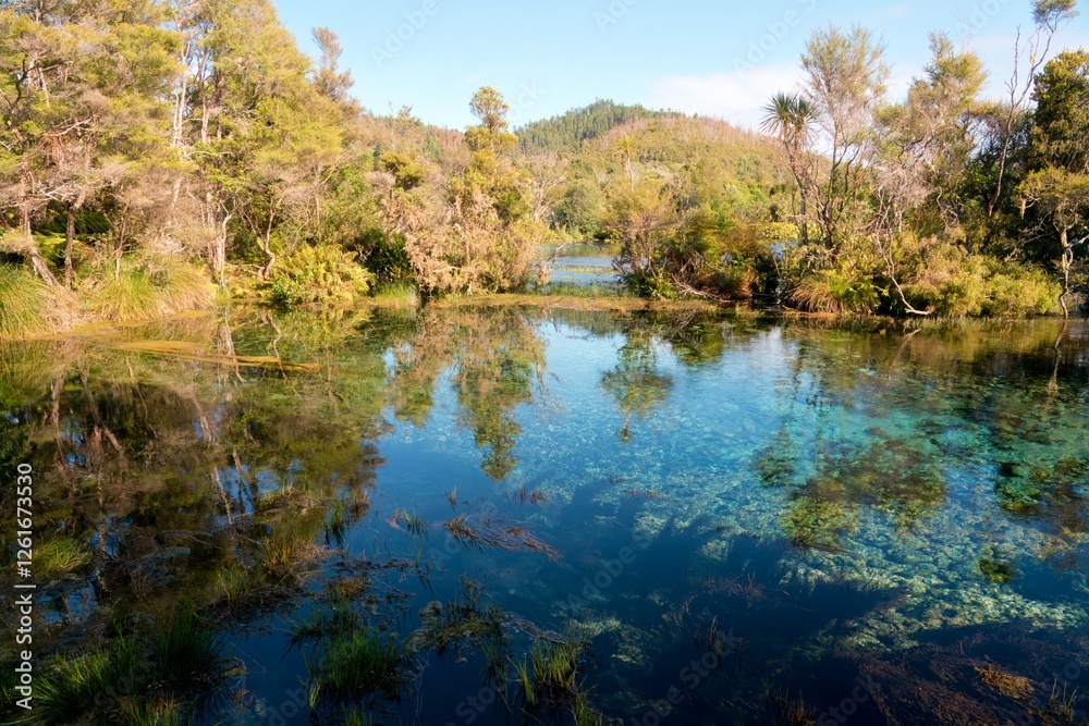 Crystal Clear Water in Te Waikoropupū Springs – Pristine Natural Beauty Crystal Clear Water in Te Waikoropupū Springs – Pristine Natural Beauty