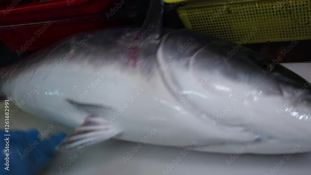 Yellow tail on the chopping board