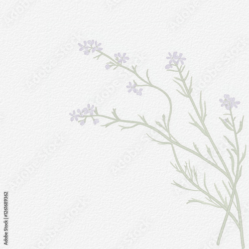 Fototapeta Naklejka Na Ścianę i Meble -  Delicate watercolor botanical digital paper floral background in soft basic nude beige tones