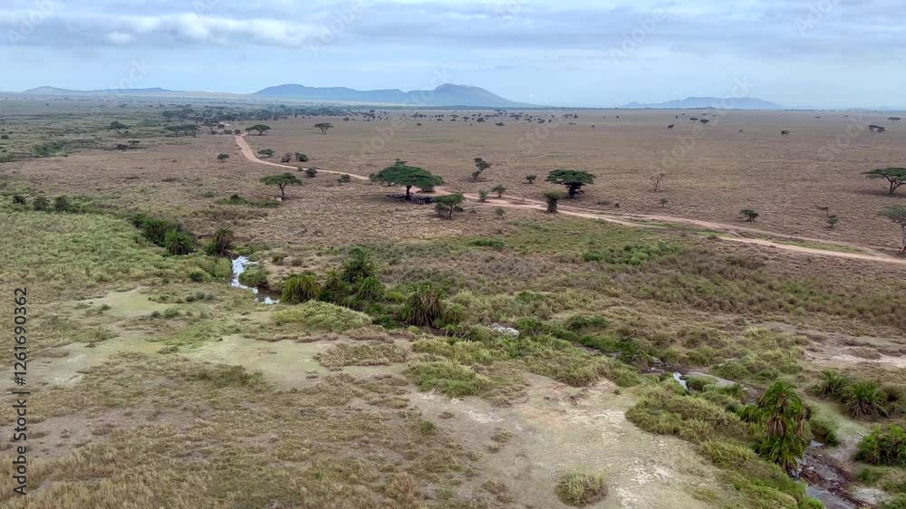Aerial view of the Serengeti plains, with a in the foreground. Tanzania. Aerial view of the Serengeti plains, with a in the foreground. Tanzania.