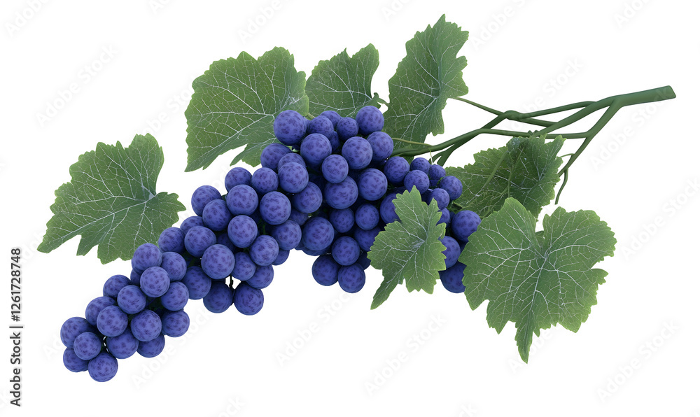 Fototapeta premium Ripe red grapes on vine, leaves, isolated background, food, wine