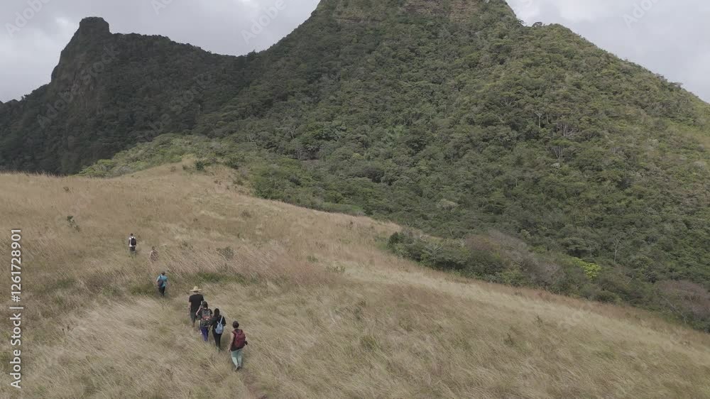 Un grupo de campistas caminan por un campo abierto en las montañas de panama.