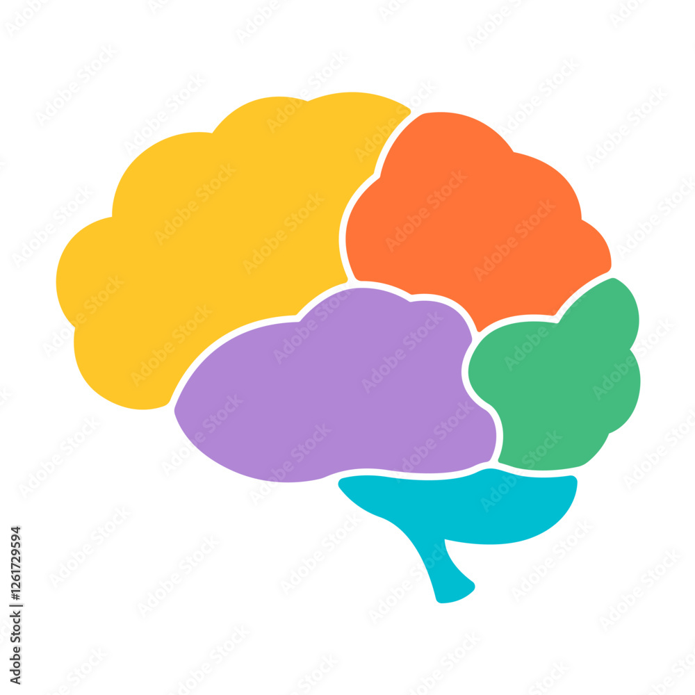 A graphical representation of the brain. A graphical representation of the brain.