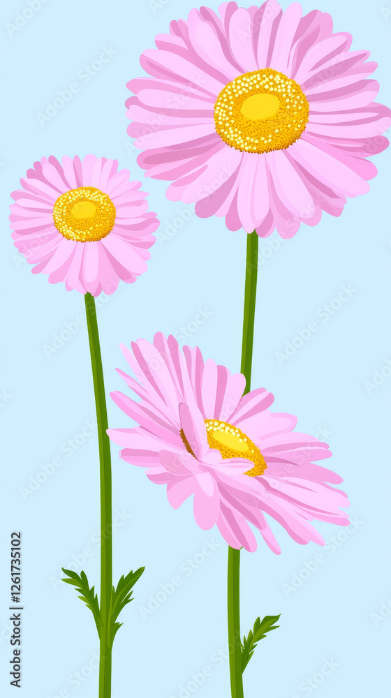 Fototapeta premium Pink daisies with yellow centers on blue background