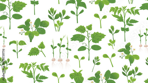 Endless seamless pattern with plant ornament. Seedlings of tomatoes, peppers, cucumbers, strawberries. Packaging design for farms. Vector illustration isolated on transparent background.