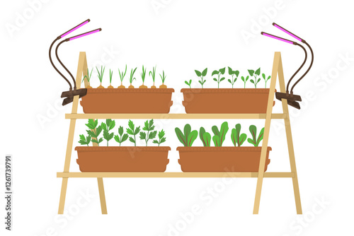 Rack with boxes with seedlings illuminated by a special ultraviolet lamp. Growing a home garden. Farm plantings, growing crops. Vector illustration isolated on a transparent background.