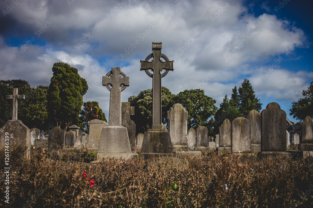 Celtic Crosses in Glasnevin Cemetery, Dublin Celtic Crosses in Glasnevin Cemetery, Dublin