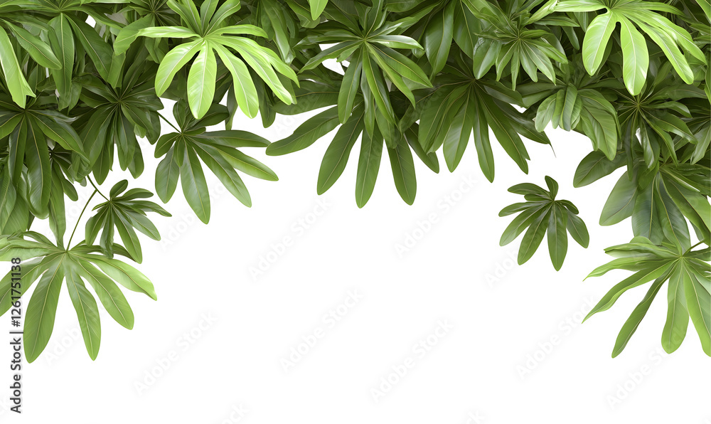 Obraz premium Lush green leaves arch, nature background, botanical design, website header
