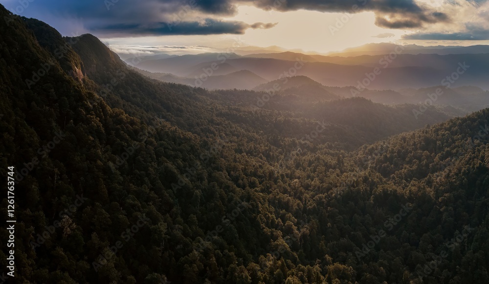 Obraz premium Golden hour light bathes a mountain range, dense forest slopes covered in trees. Epic mountain scenery. Lake Waikaremoana Track, Hawkes Bay, New Zealand